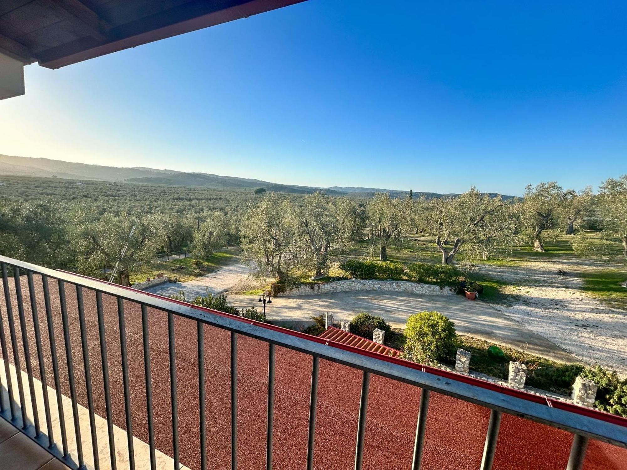 Valle Degli Ulivi B&B ヴィエステ エクステリア 写真